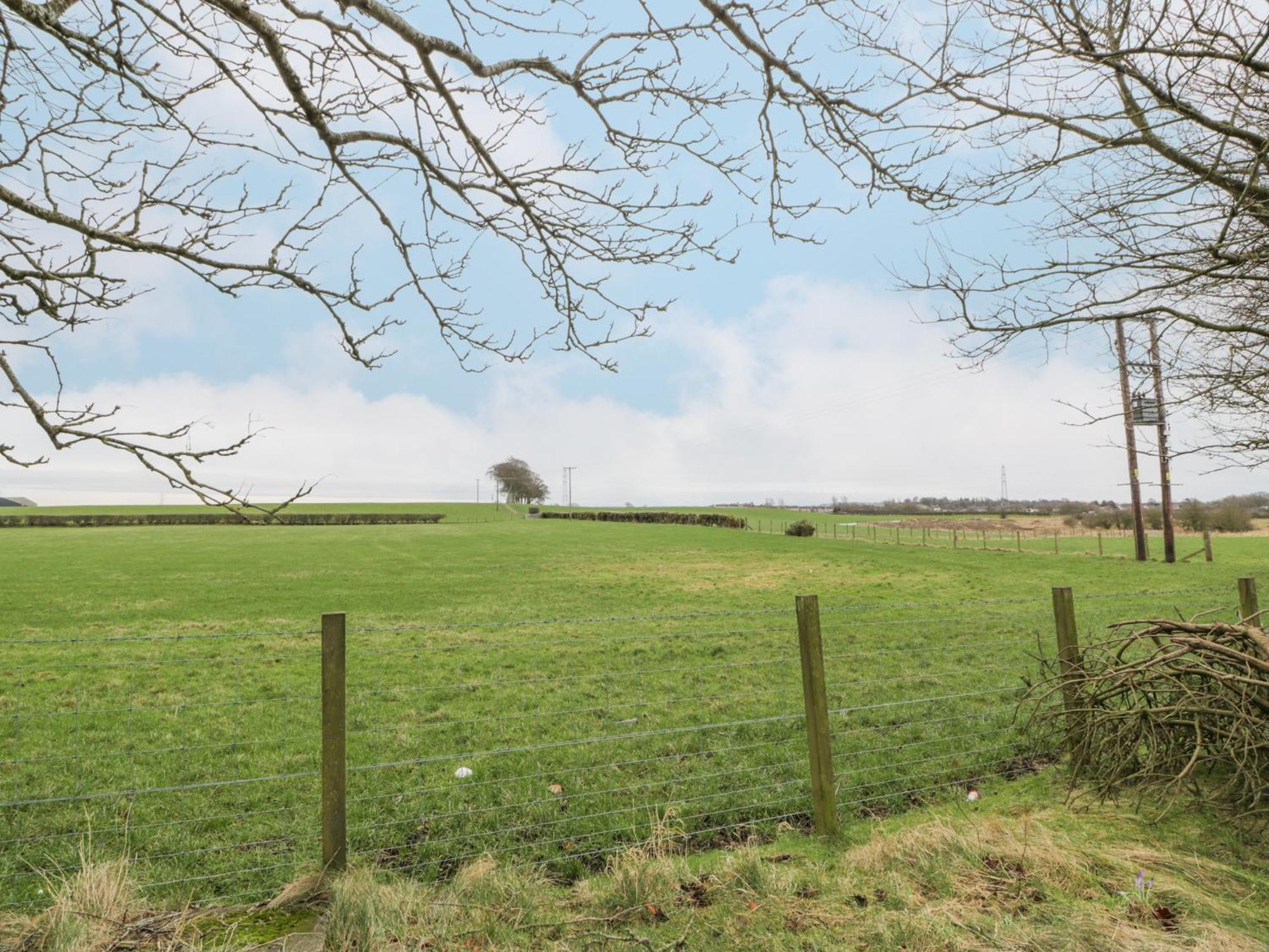 Rosalin * Irvine (North Ayrshire)